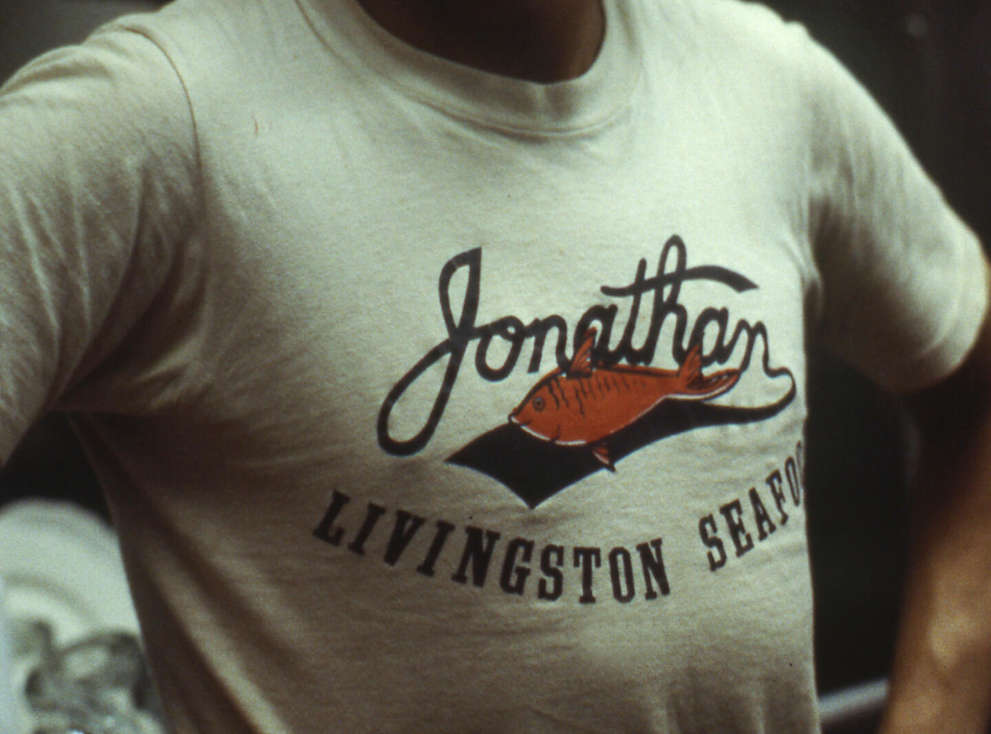 Lettuce Look Back Highlights of Lettuce Entertain You from 1971