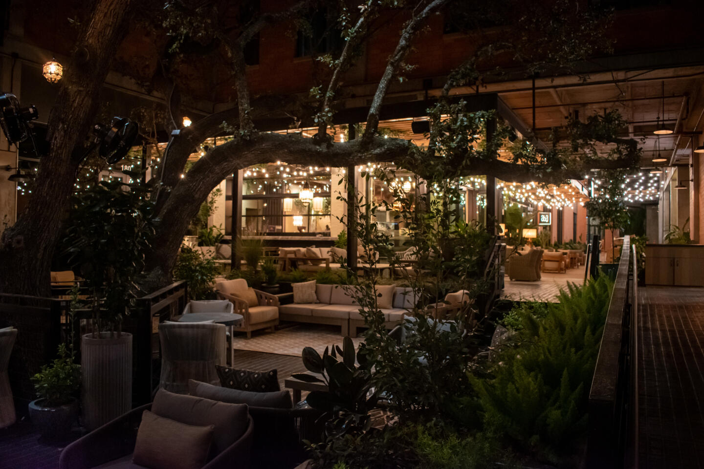 We're Heading to Texas! Aba in Austin is Now Open Lettuce Entertain You