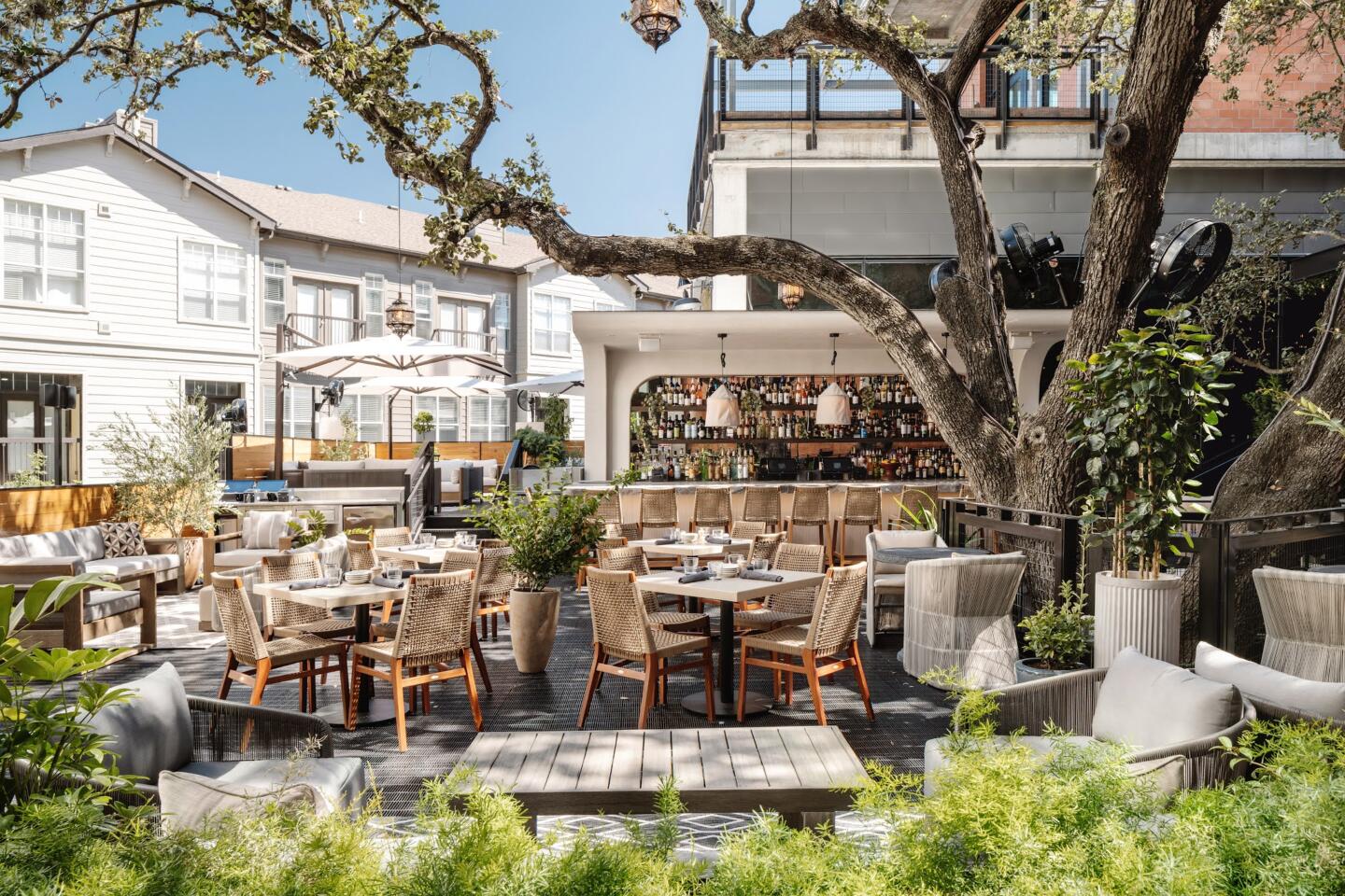 Lettuce Look Back Highlights of Lettuce Entertain You from 1971