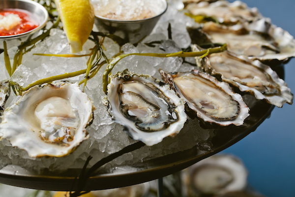 oysters from Shaw's