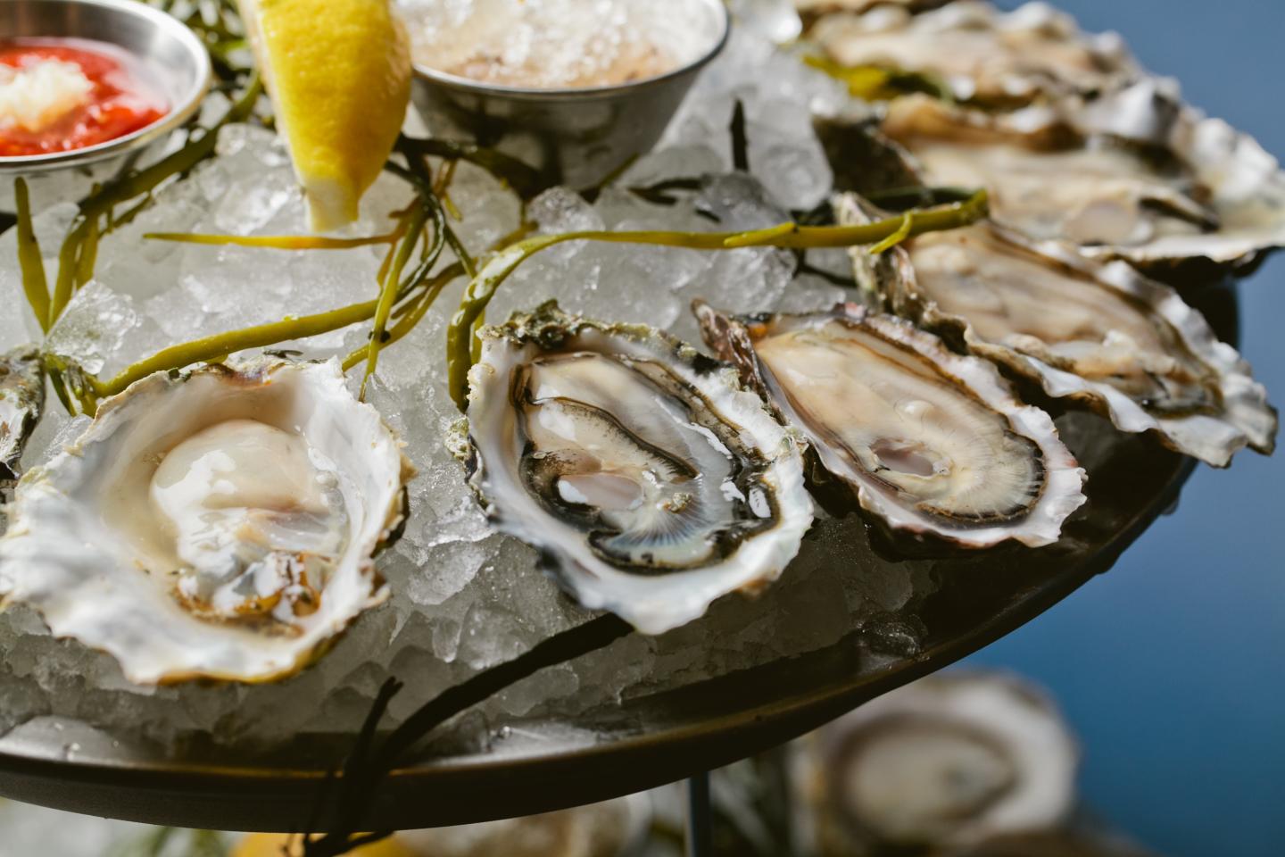Oyster Fest sampler