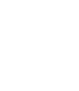 Wow Bao Noodles Rice Hot Asian Buns Lettuce Entertain You