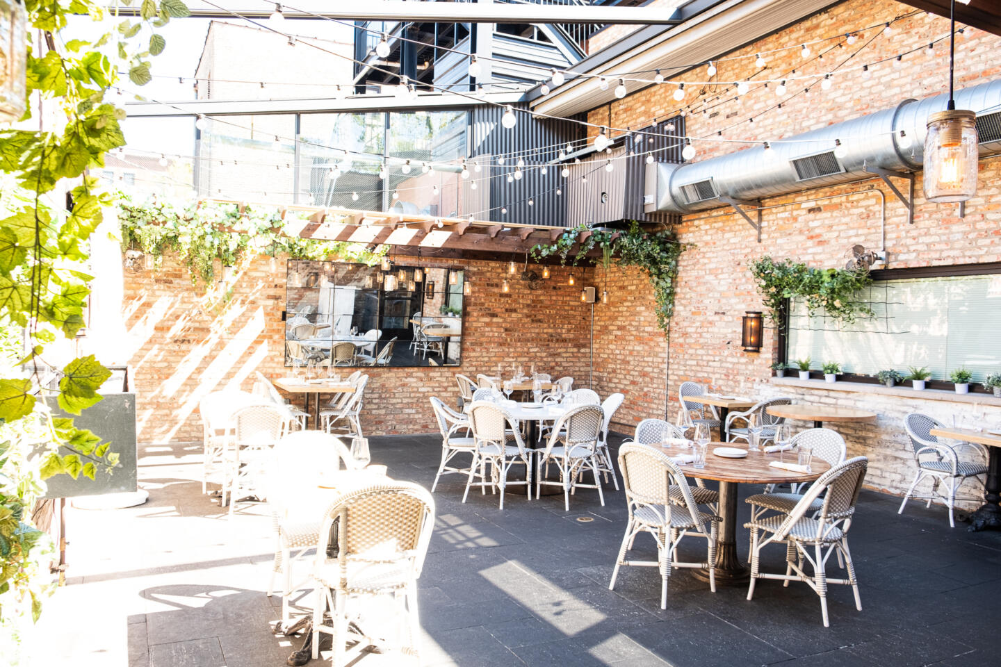 Introducing the Newly Expanded Summer House Lincoln Park Lettuce