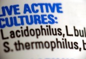 probiotics