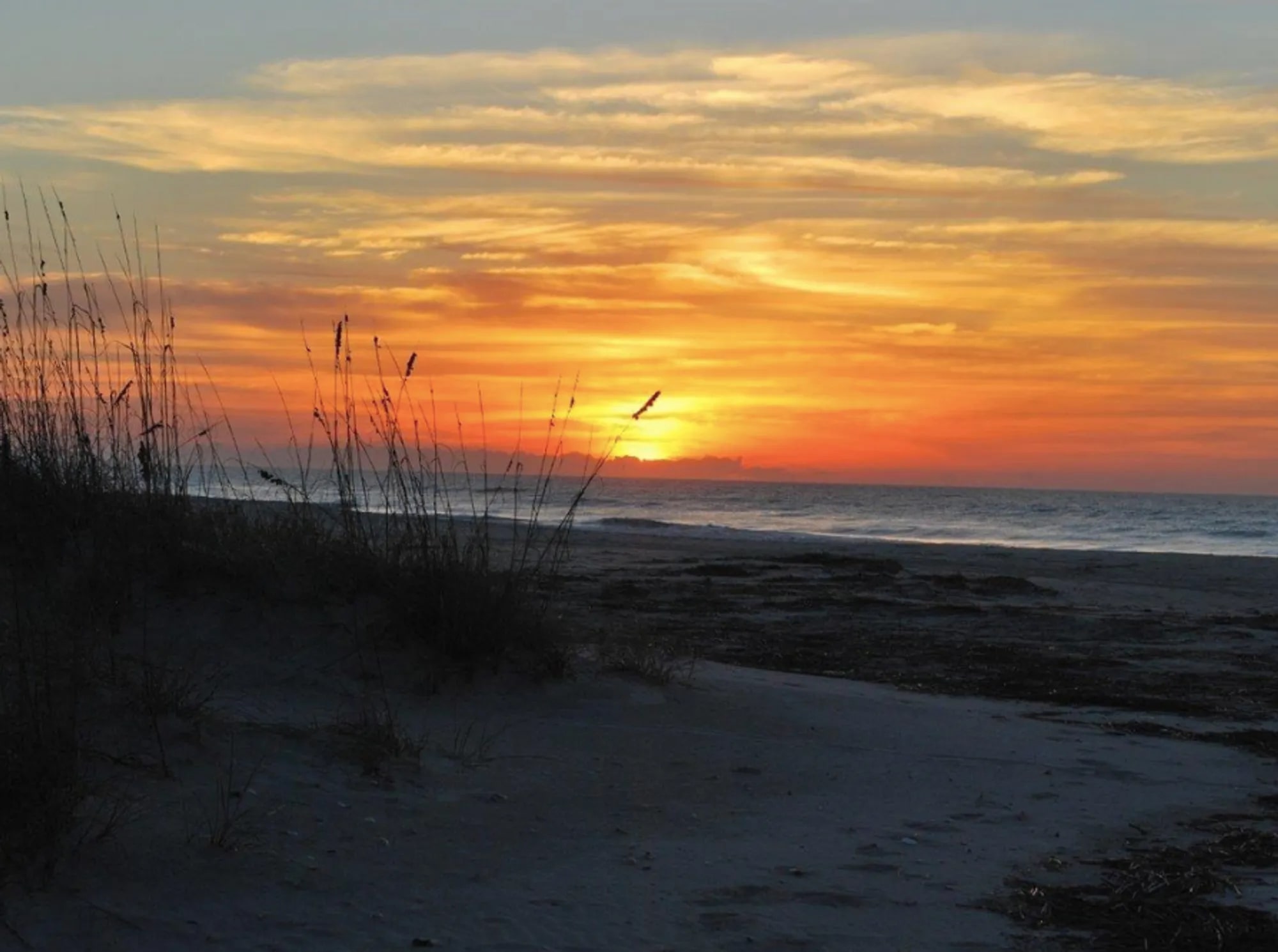 Beach view in coastal Carolina