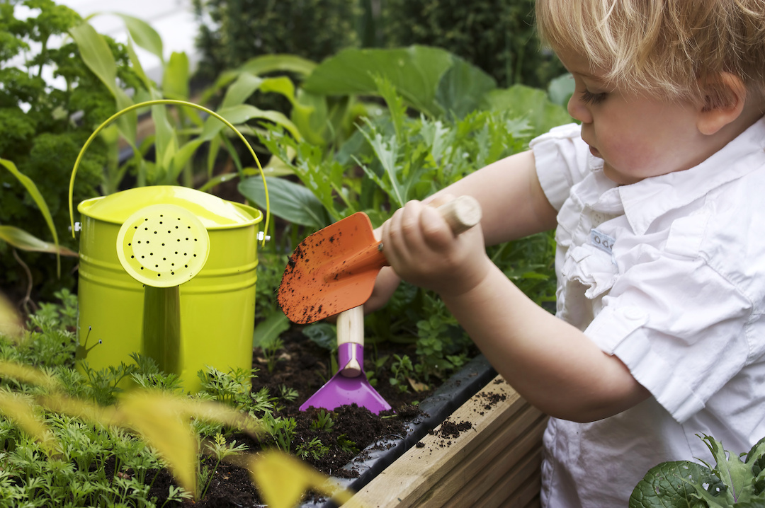 gardening with children in washington