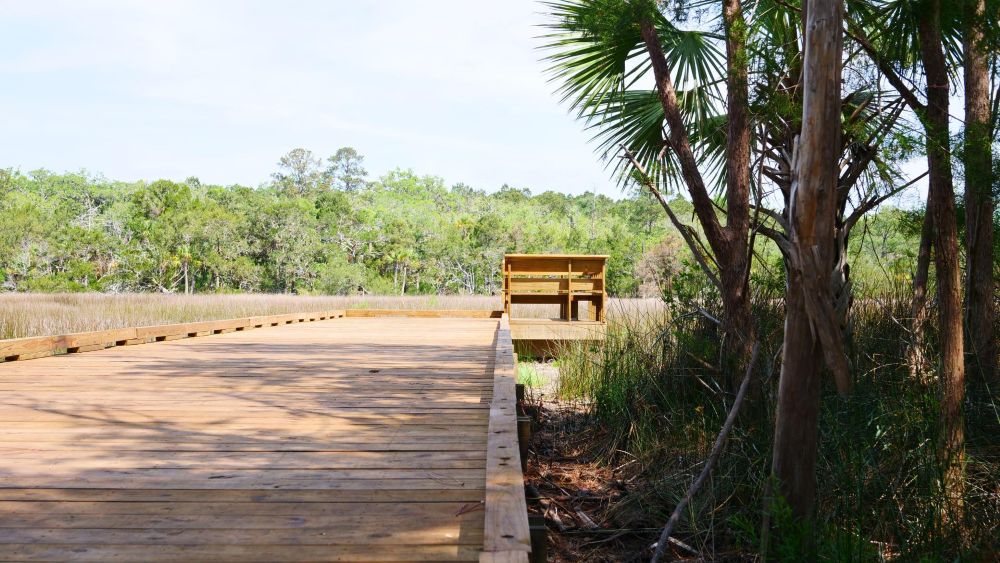 8 Reasons to Move to Richmond Hill, GA