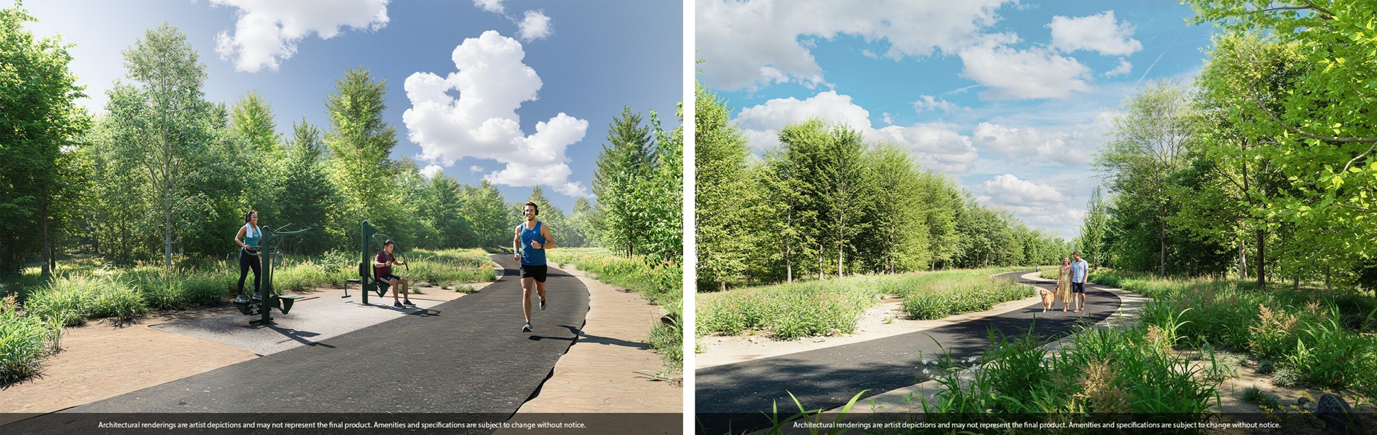 Renderings of the trail system