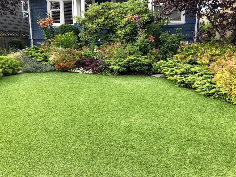Get a Gorgeous Yard with Less Water!