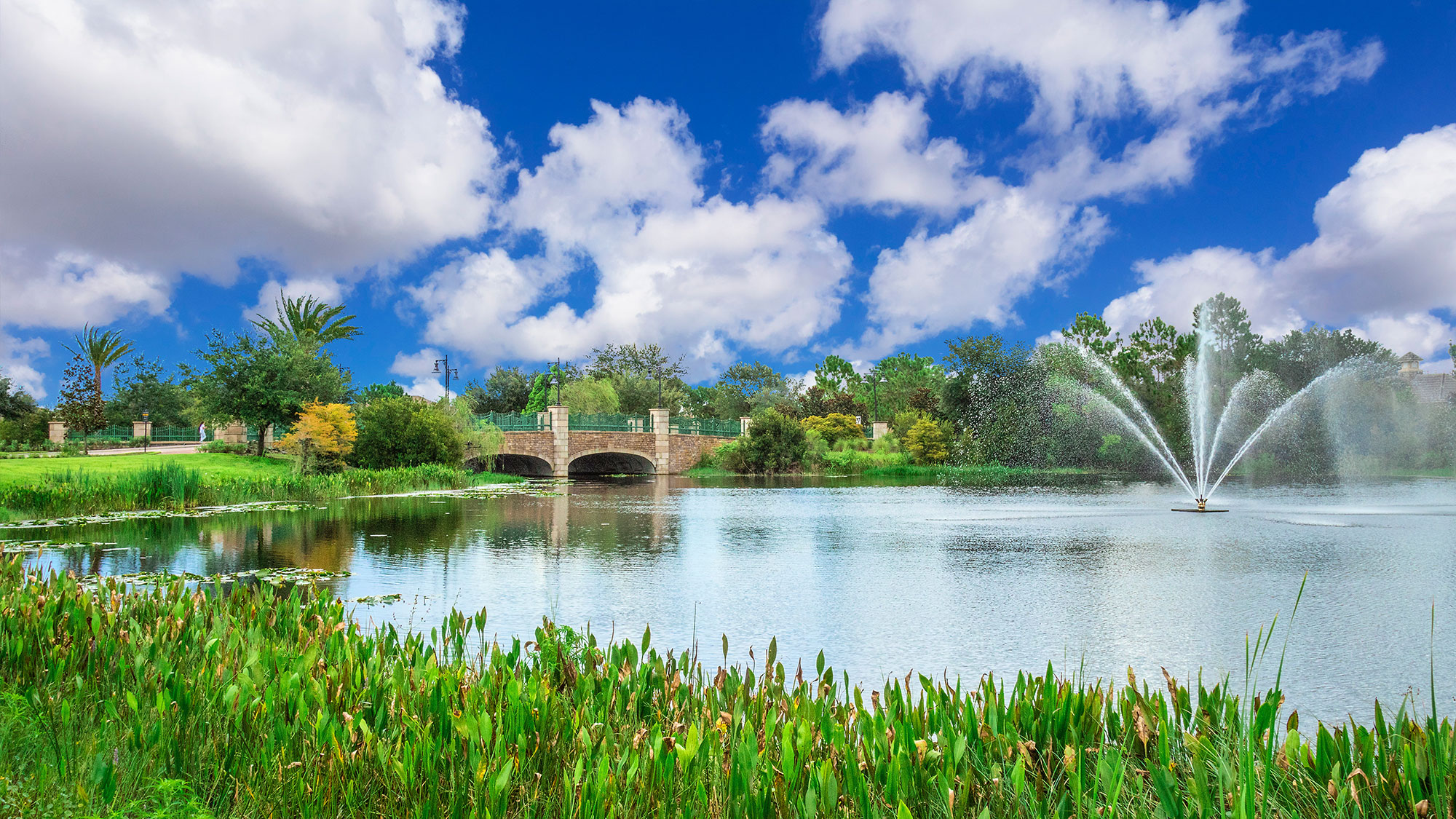 Oqituvchining külotsiz surati 3D porno yirtqich hayvonlar