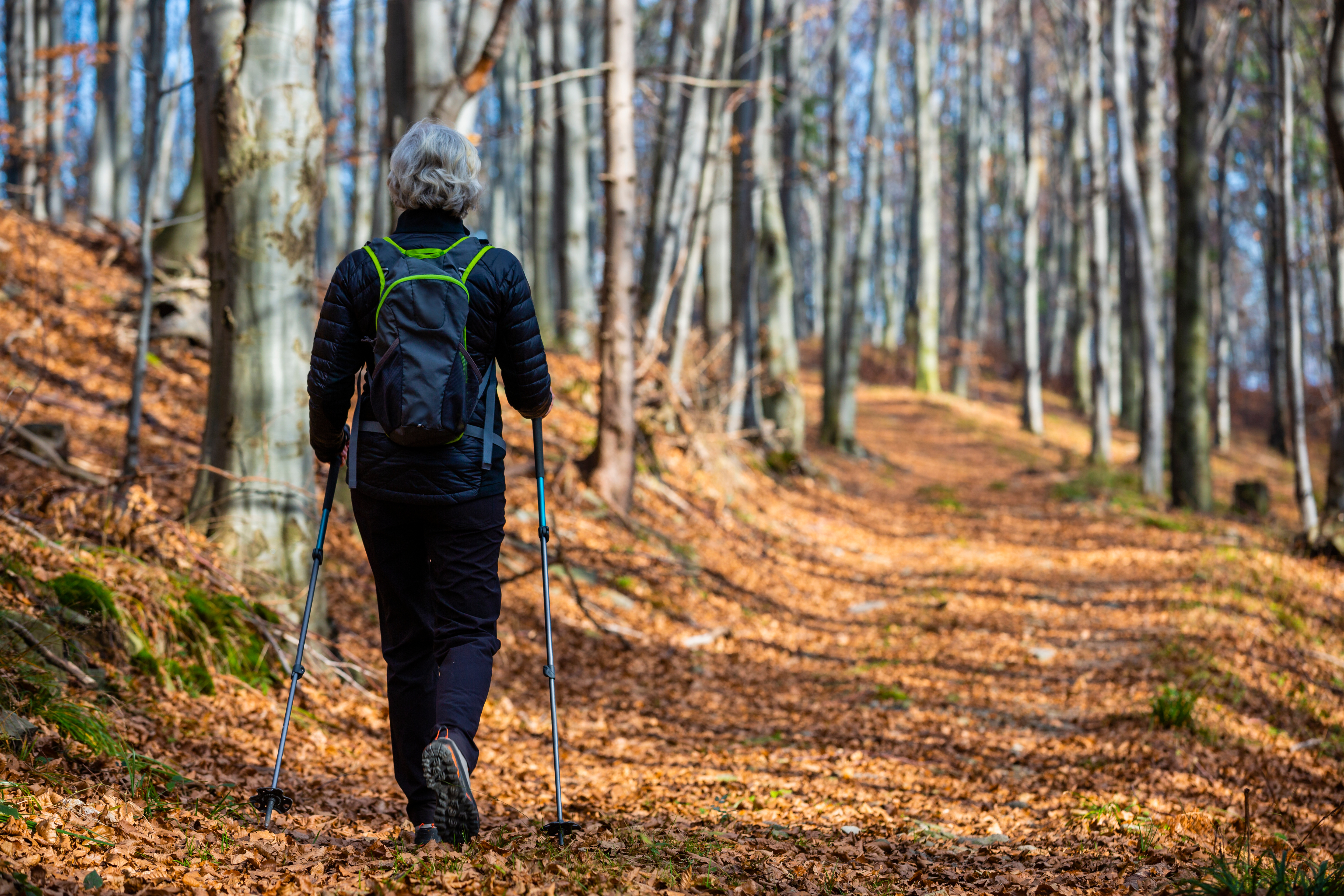Person hiking in the woods in fall foliage
