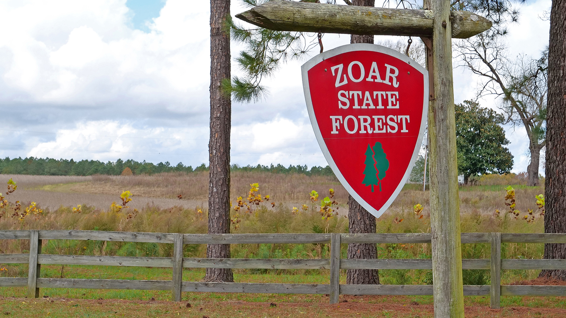 A sign for Zoar State Forest in King William County, Virginia.