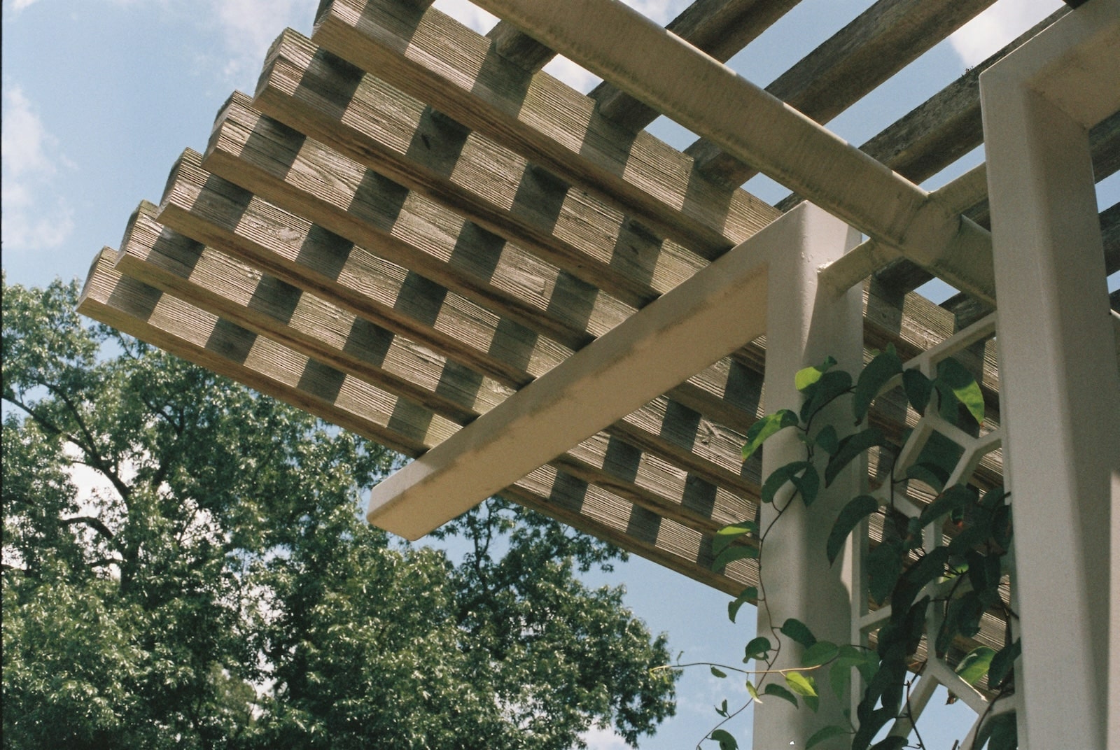 Close-up of a wooden pergola with lattice-style beams, attached to a white support structure, with green leafy vines climbing up. Trees and blue sky with scattered clouds are visible in the background.