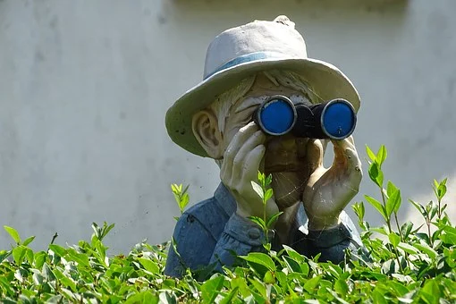 Coming Your Way in 2021 – Virtual Home and Garden Shows!