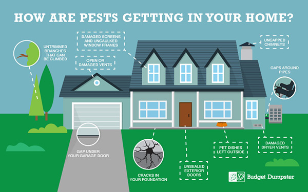 Unwelcome Guests…Protect Your Home from Critters!