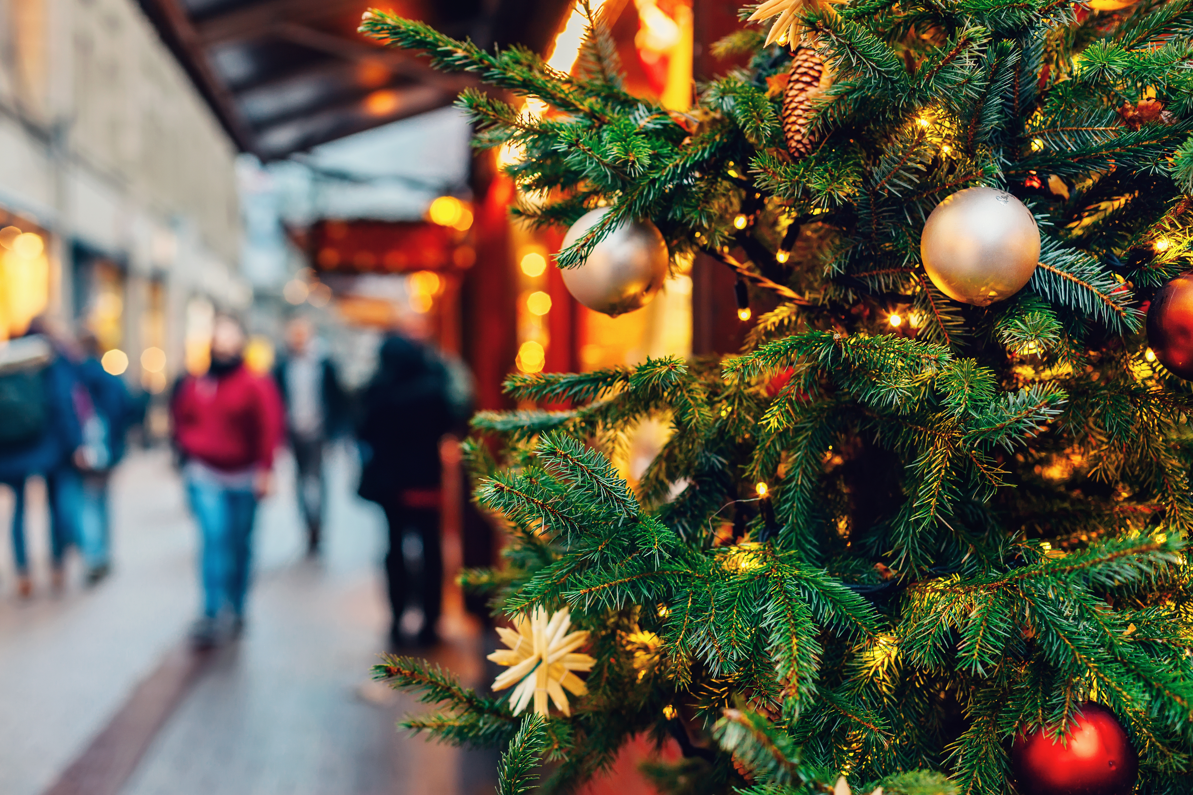 Enjoy These Holiday Events in Savannah, GA