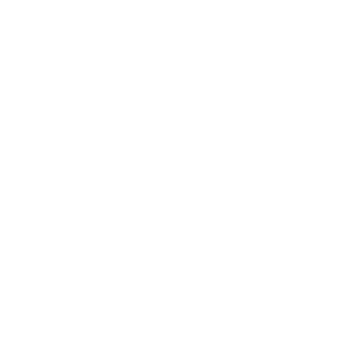 Promo Banner Logo