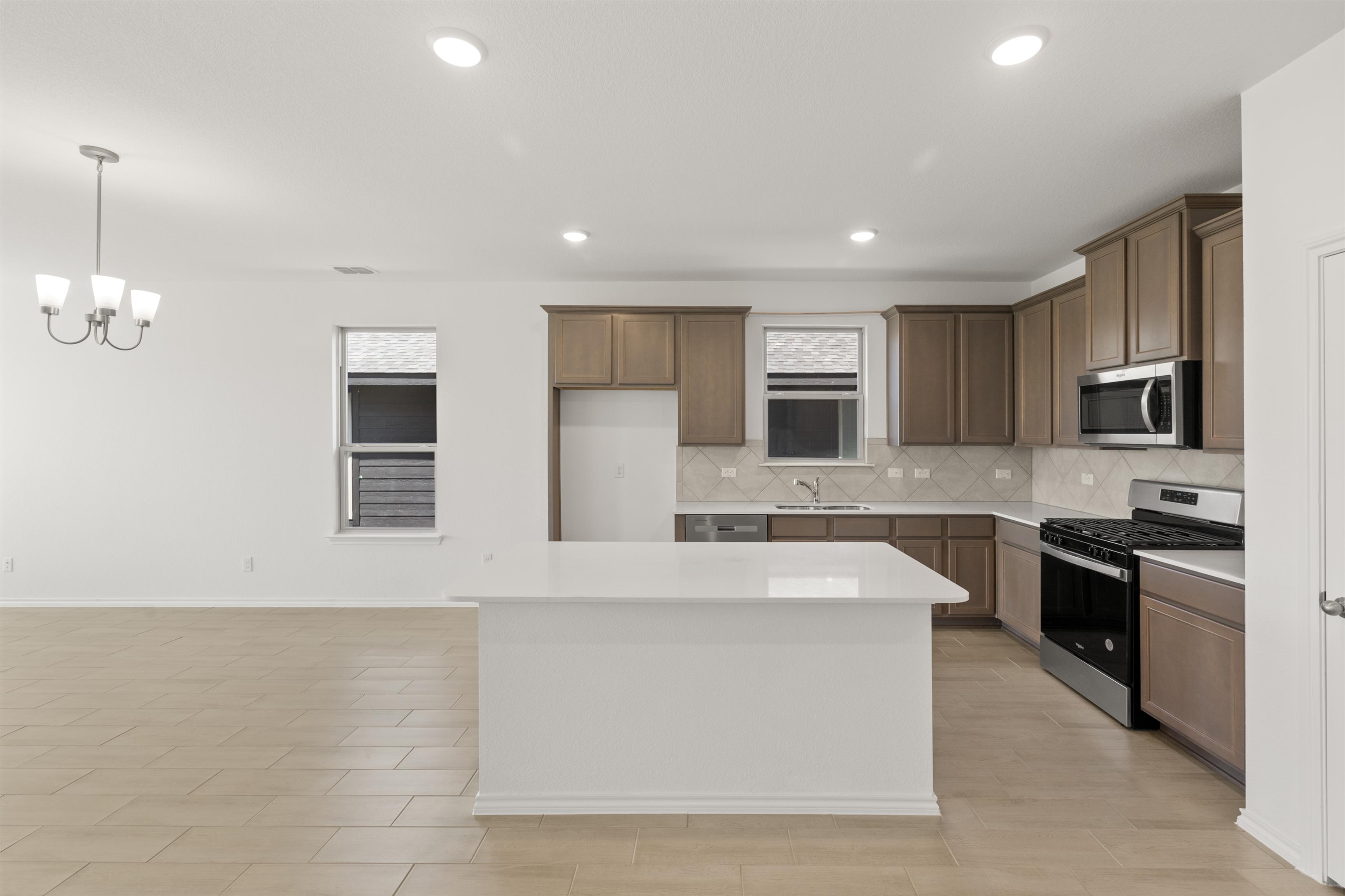 Orchid Representative Photography