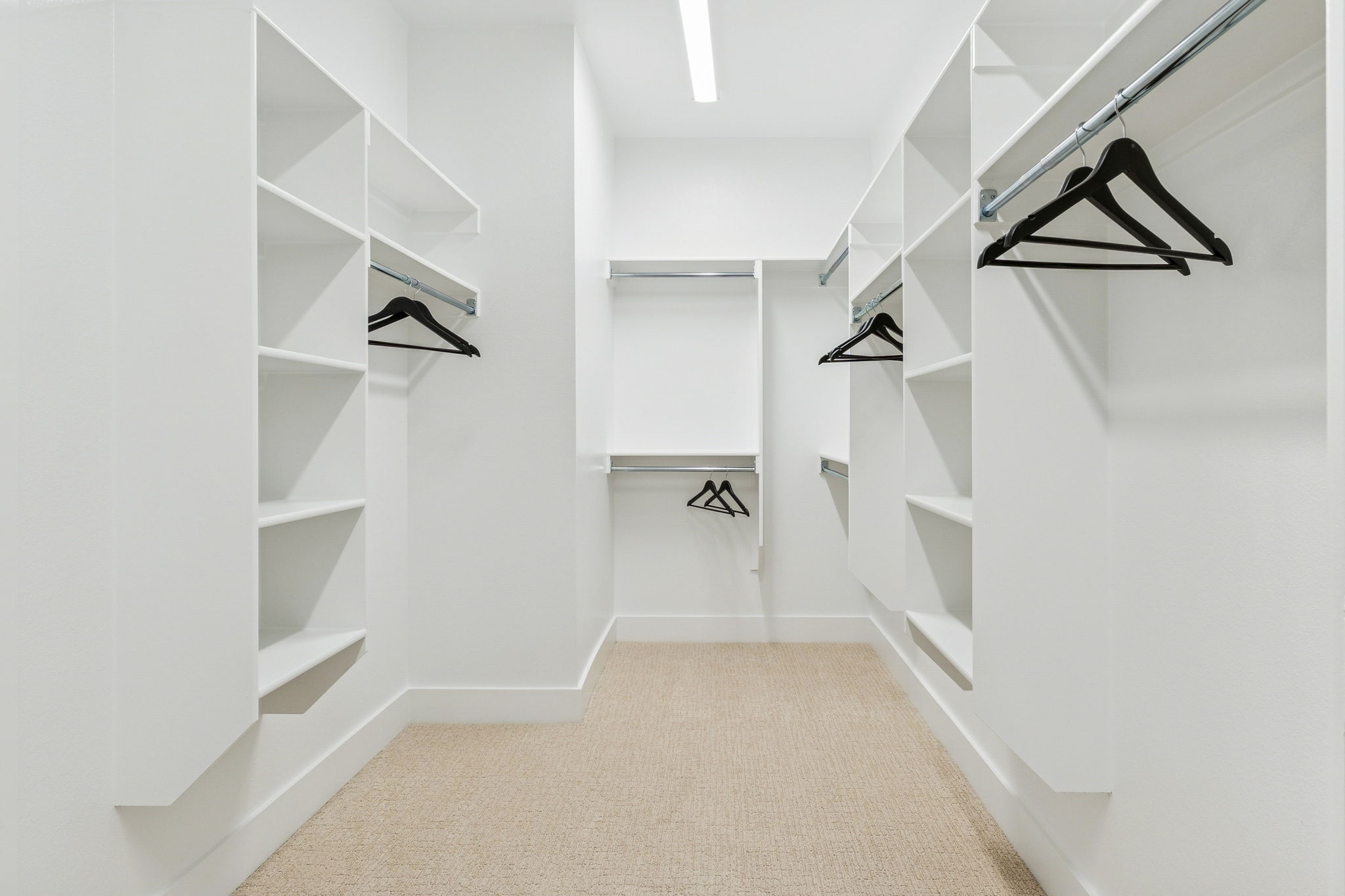 Massive walk-in closet with built-in shelving throughout