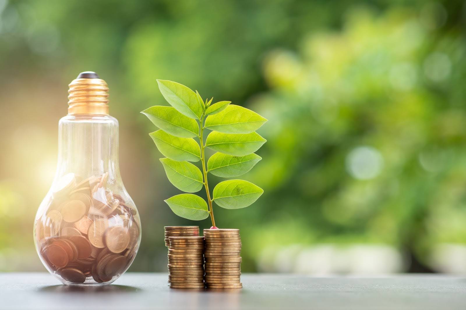 Enhancing Your Home’s Energy Efficiency: Tips to Save Money