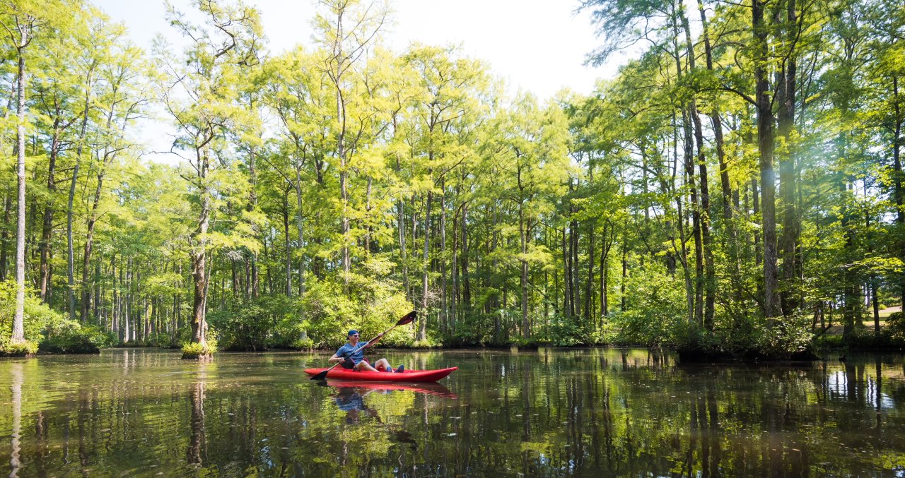 Man kayaking in serene water