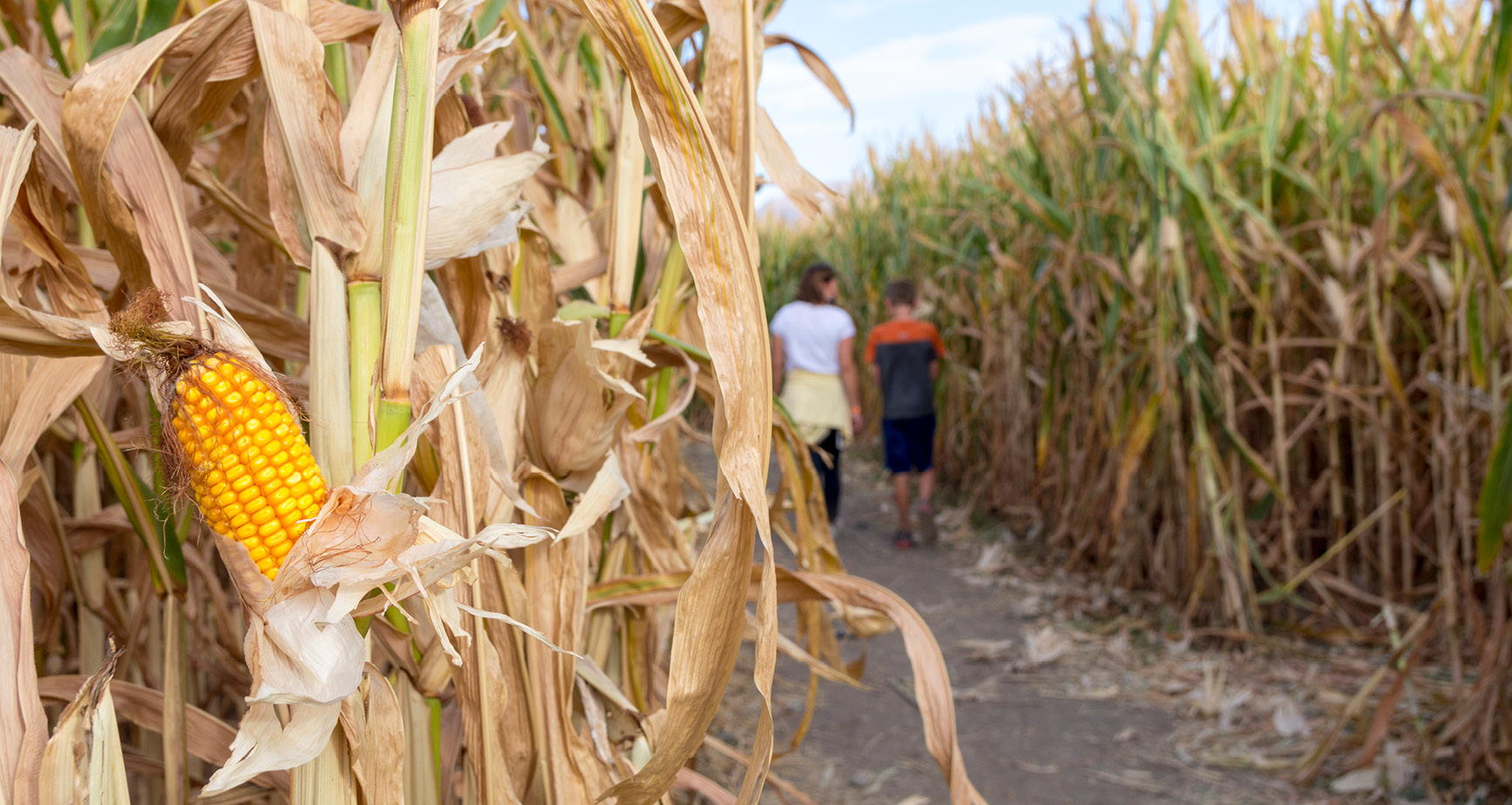 Get lost in a corn maze or find the perfect pumpkin at a  Lehigh Valley pumpkin patch, with Kay Builders blog.