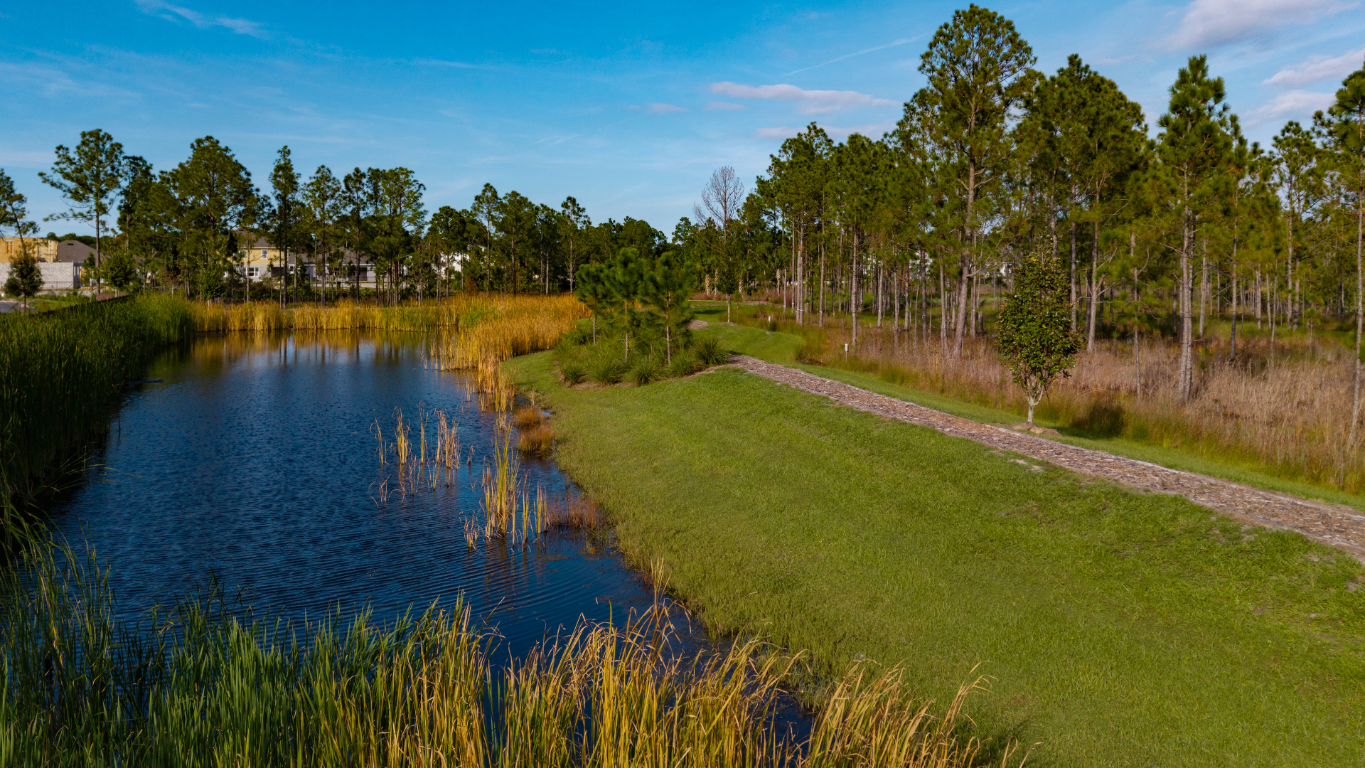 New construction home in Trinity Gardens, a DeLand, FL community by Trinity Family Builders