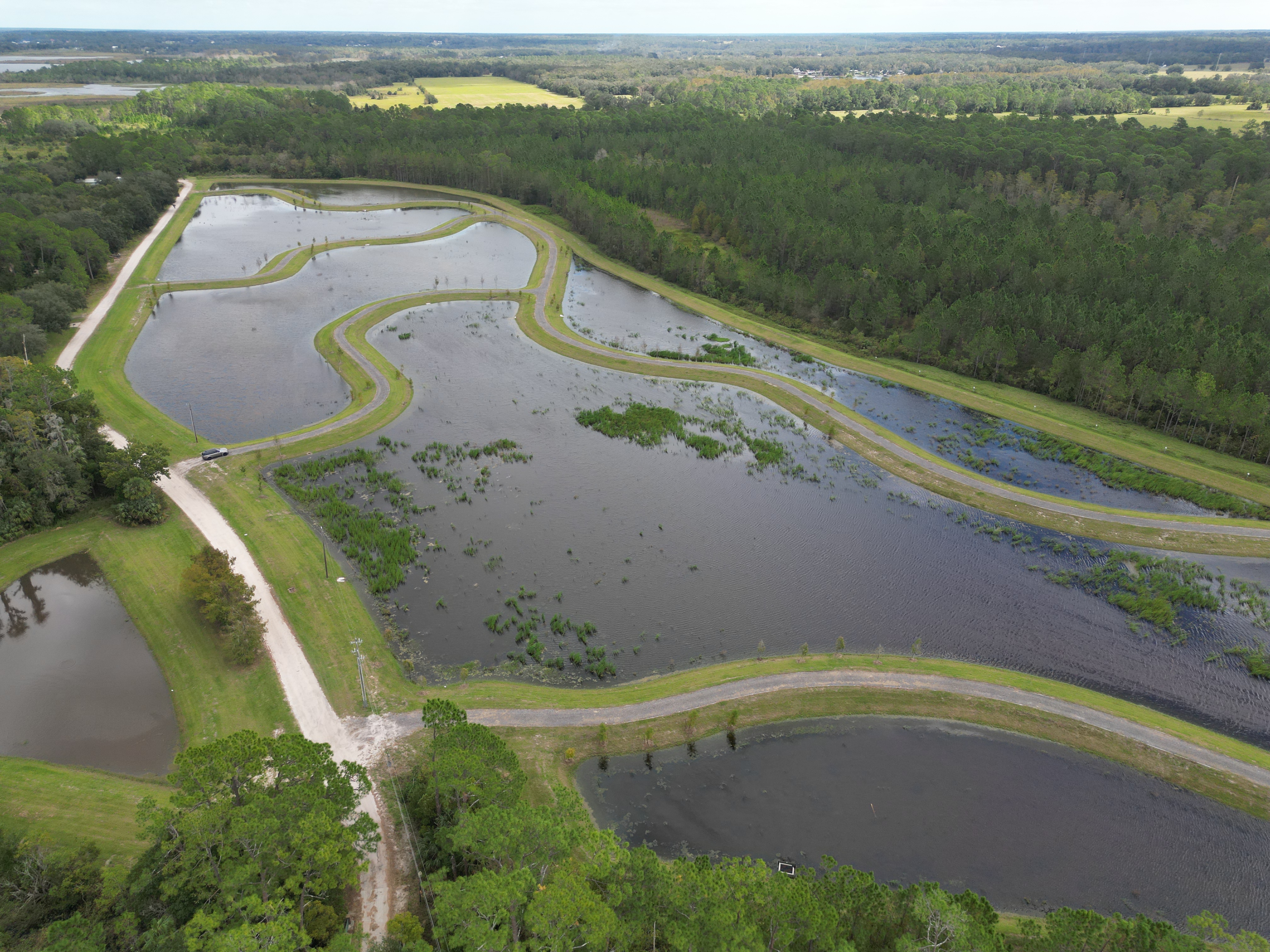 nature trail with water pine meadows reserve townhomes in eustis florida
