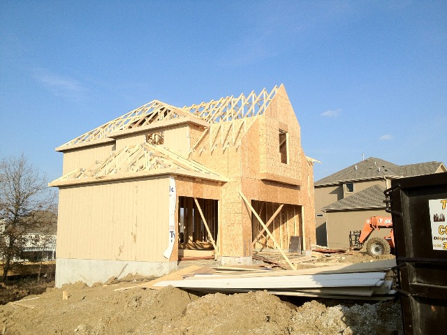 Gaudutis - Framing - WEB