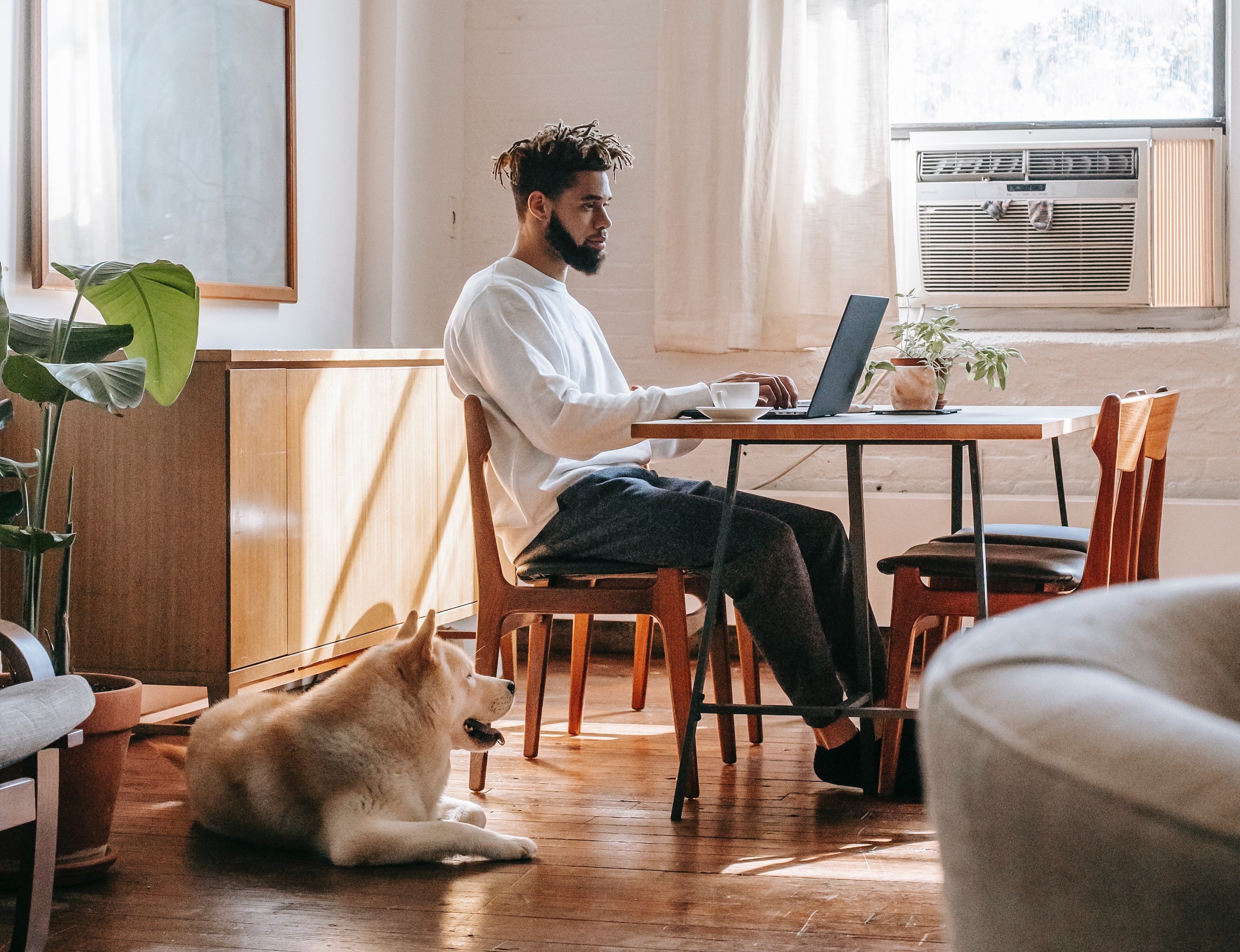 A man sits at a dining table working on a laptop, with an Akita mix dog sitting on the floor beside him.