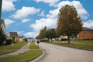 Streetscape2