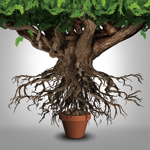 Signs You’ve Outgrown Your Current Home