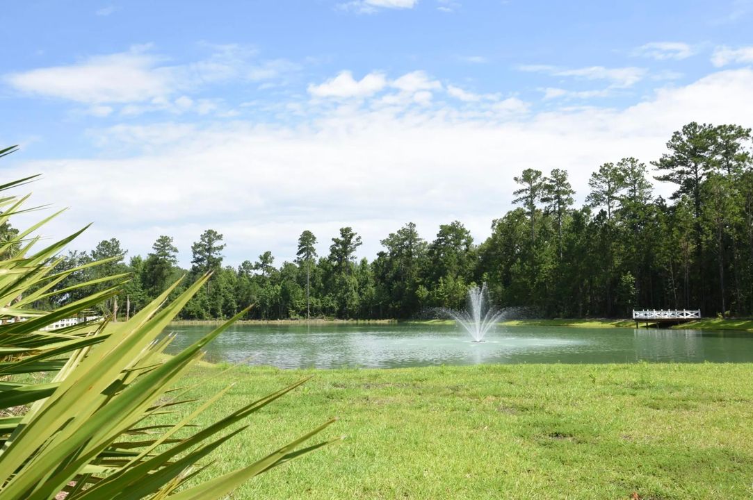 Is Savannah A Good Place To Live? Yes!