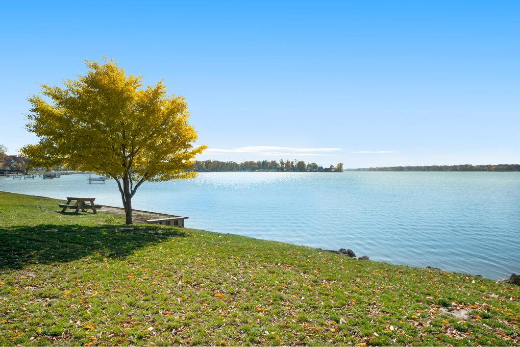 Community photo