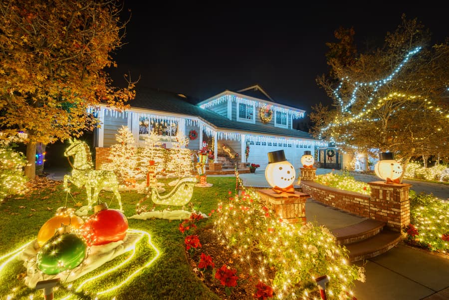 Tis The Season For Holiday Fun!