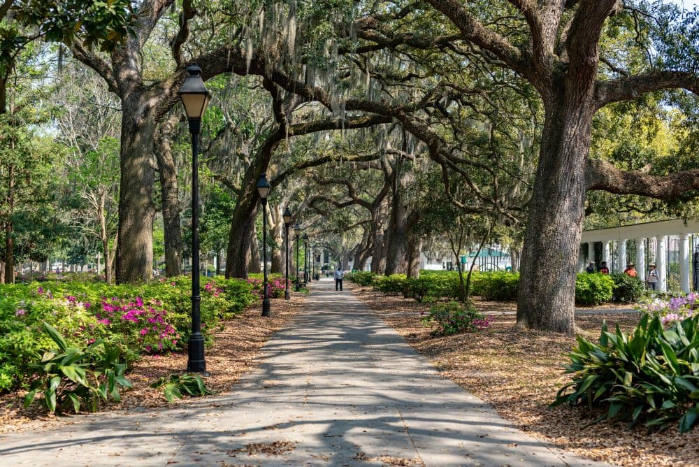 Best Suburbs of Savannah, GA for Families & Commuters