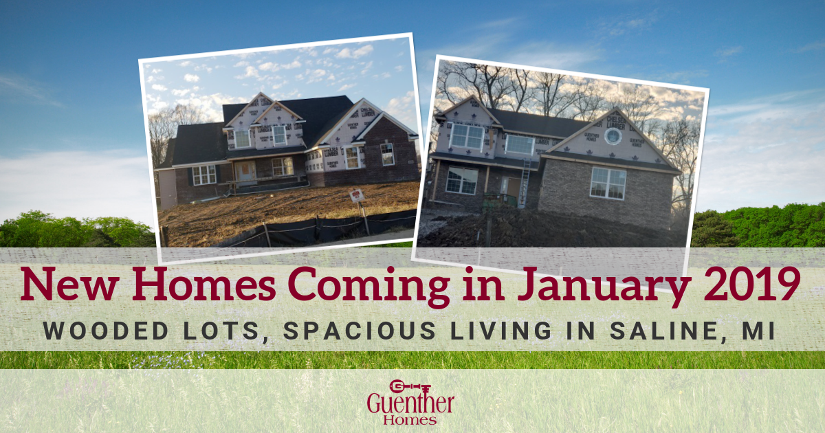New Homes Coming in January 2019 Wooded Lots, Spacious Living in