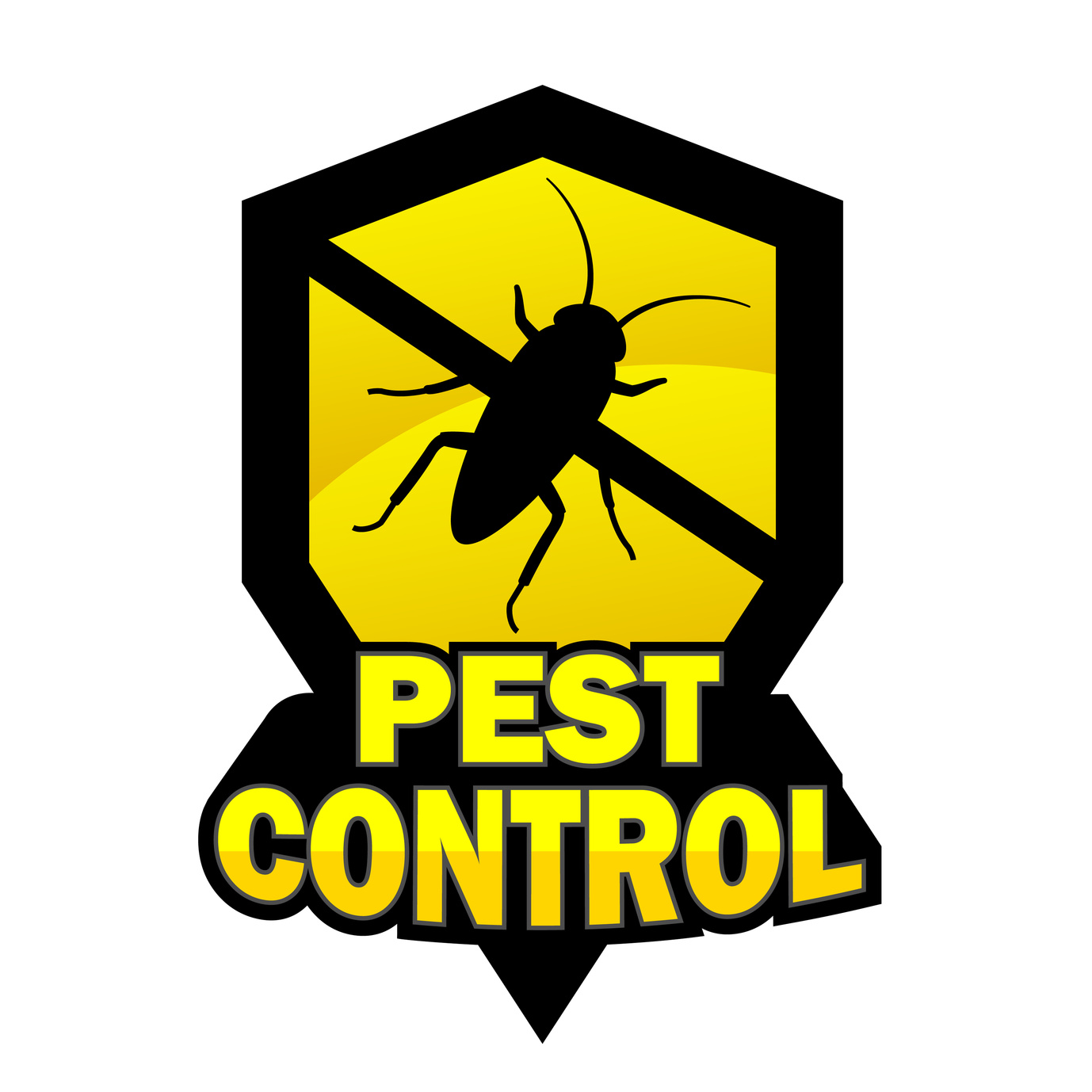 Pest Control - Protect Your Home from Invaders!
