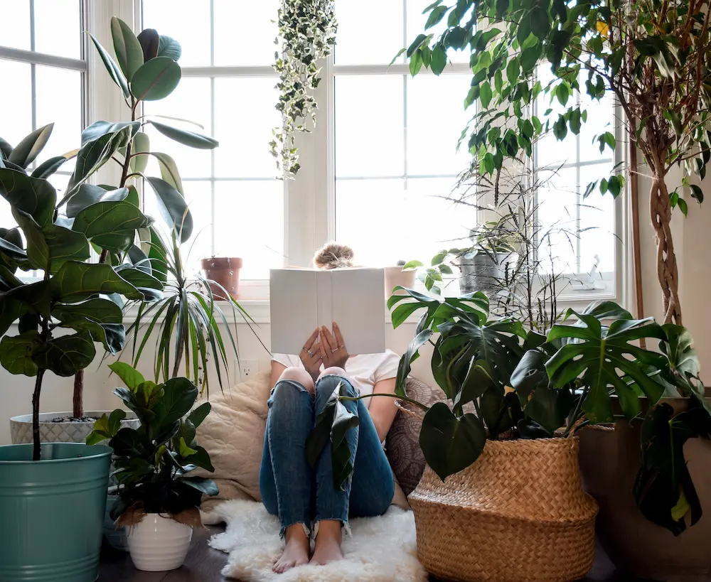 Essential Books for your Home Library!