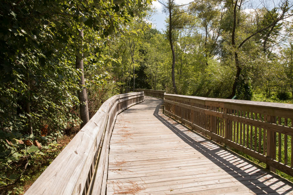Boardwalk in Mingo Creek Park