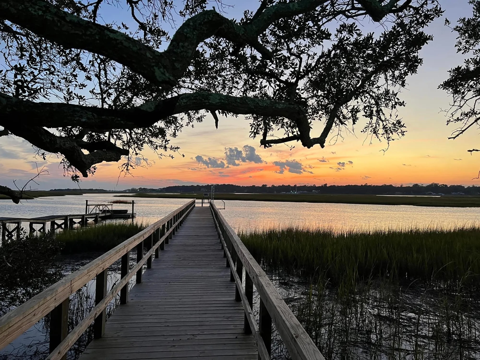 Natural beauty of Wilmington, NC