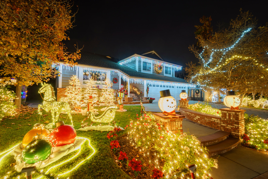 Tis The Season For Holiday Fun!
