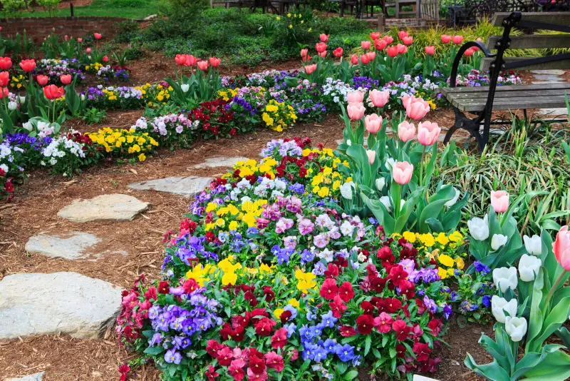 The South’s Best Flowers – Get Ready to Garden!
