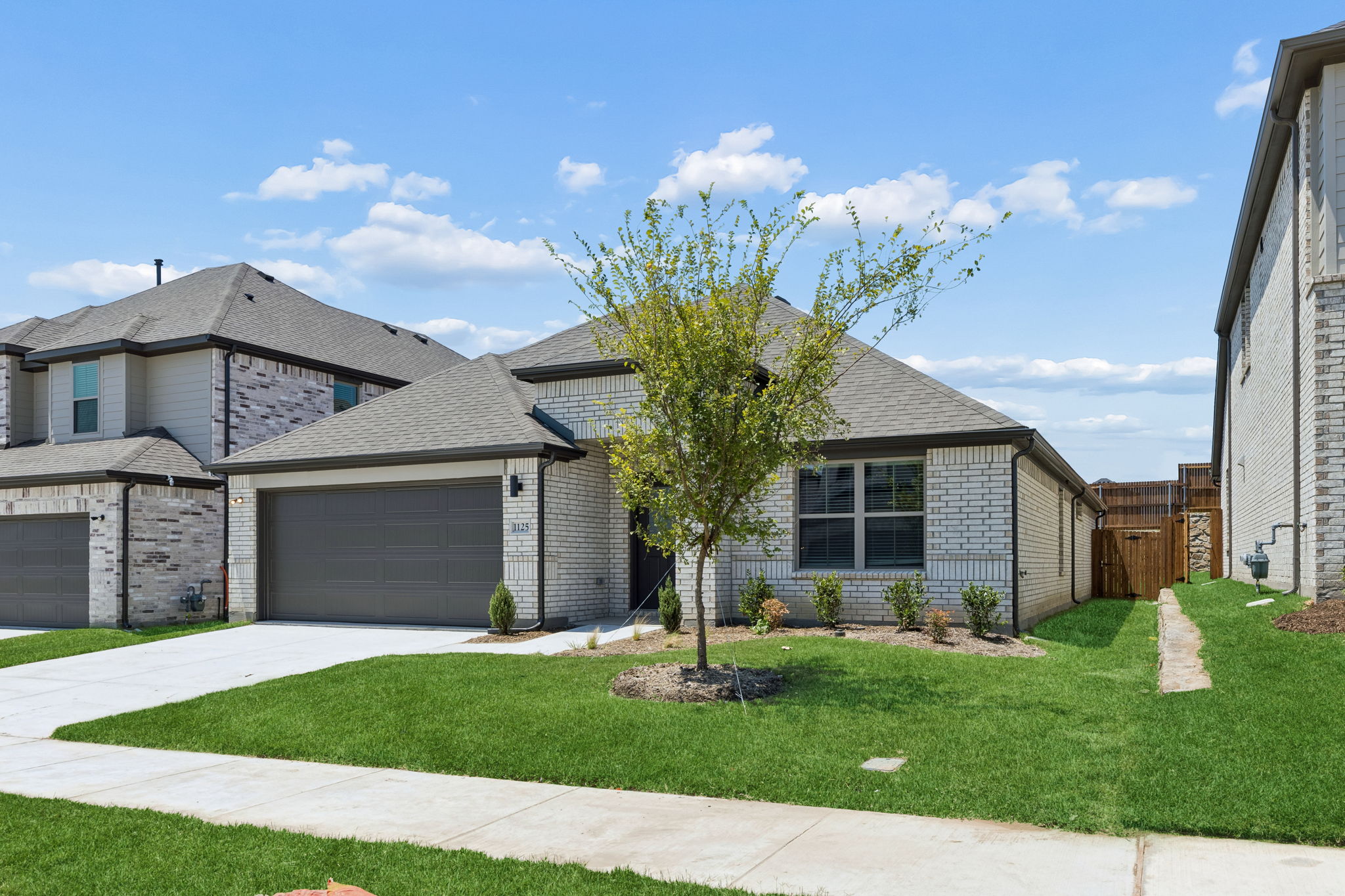 Oscar at 715 Summerberry Drive, McKinney, Texas: photo 2