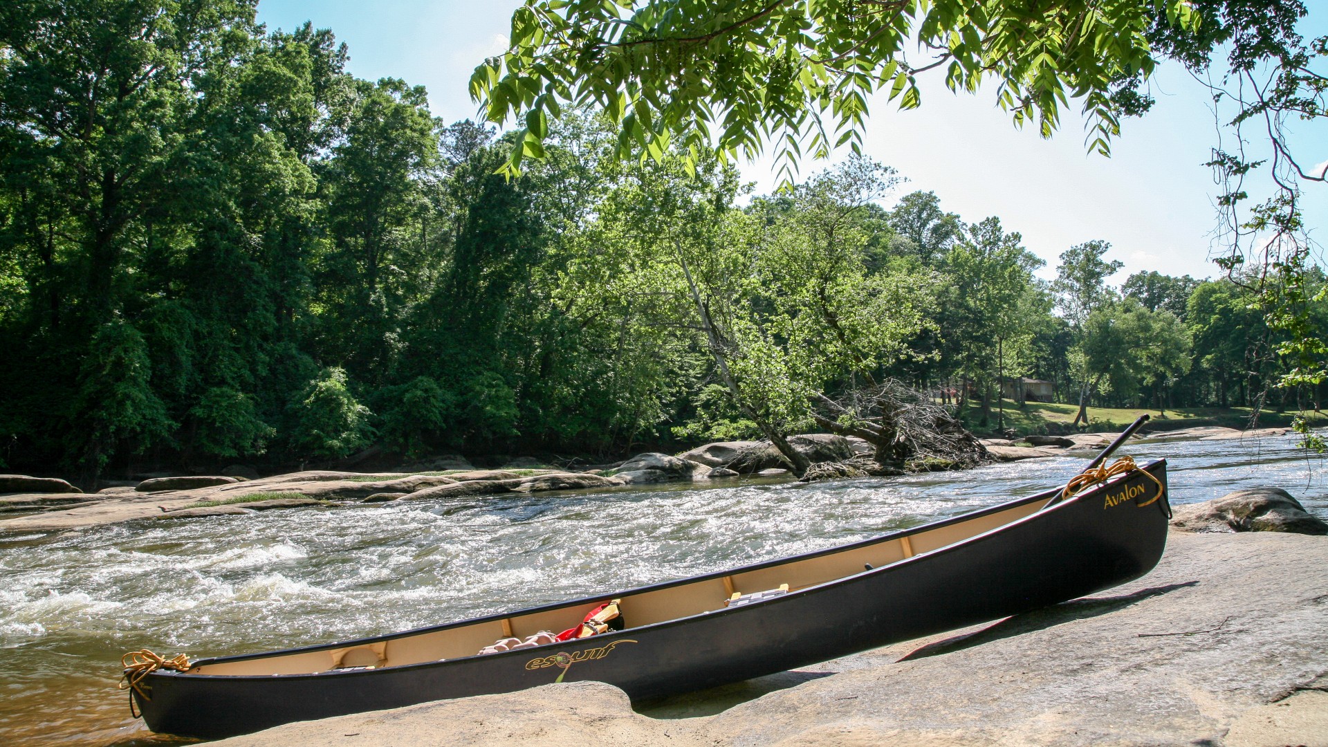 A canoe next to a river
