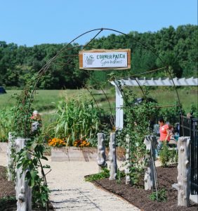 Corner Patch Gardens