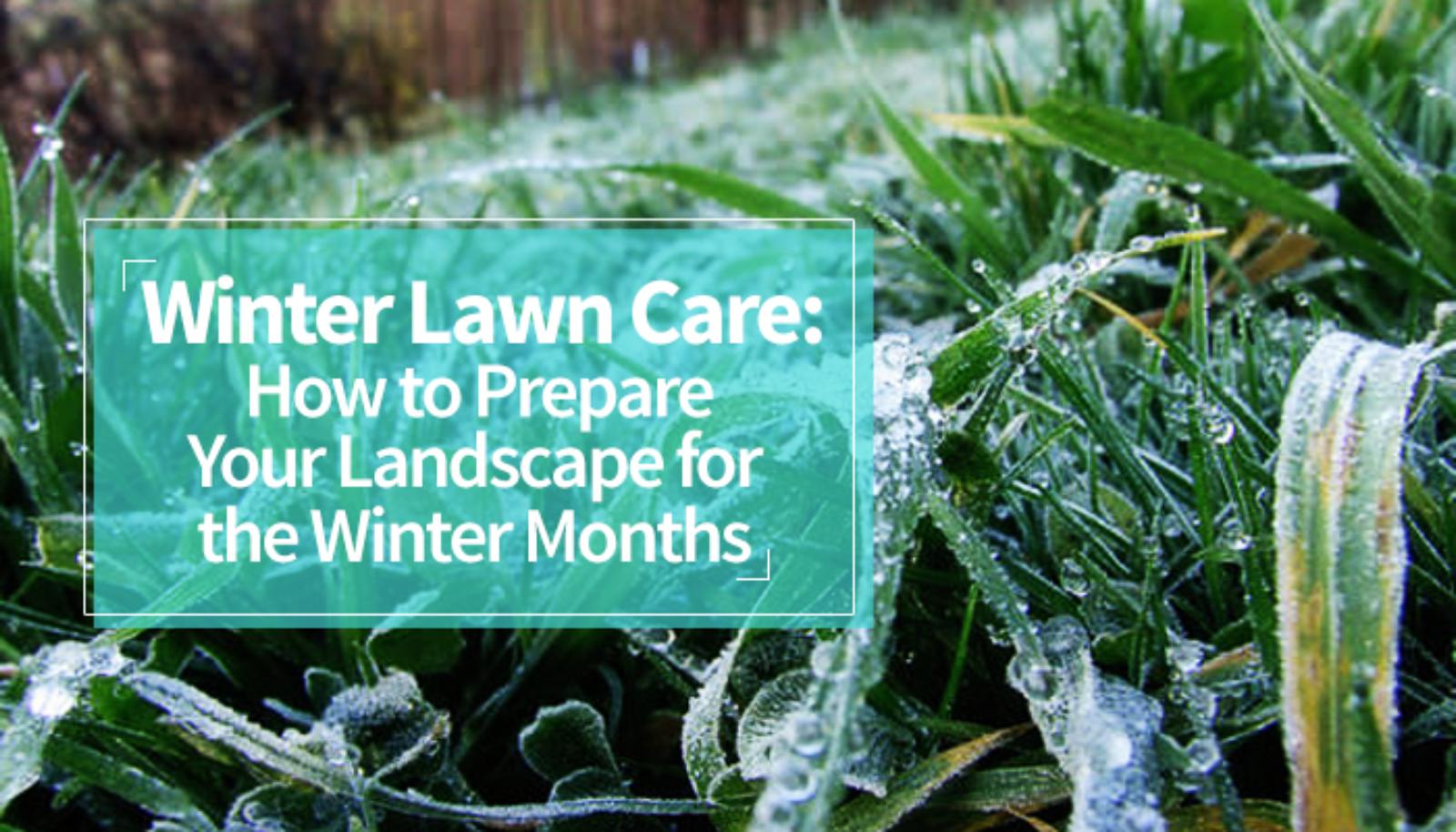 The Lawn in Winter…Tips to Keep It Healthy