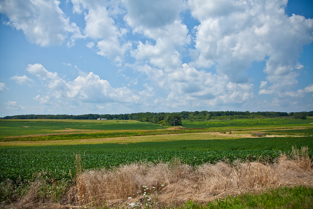 Community photo