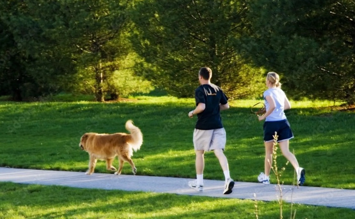 Two people jogging with a dog.