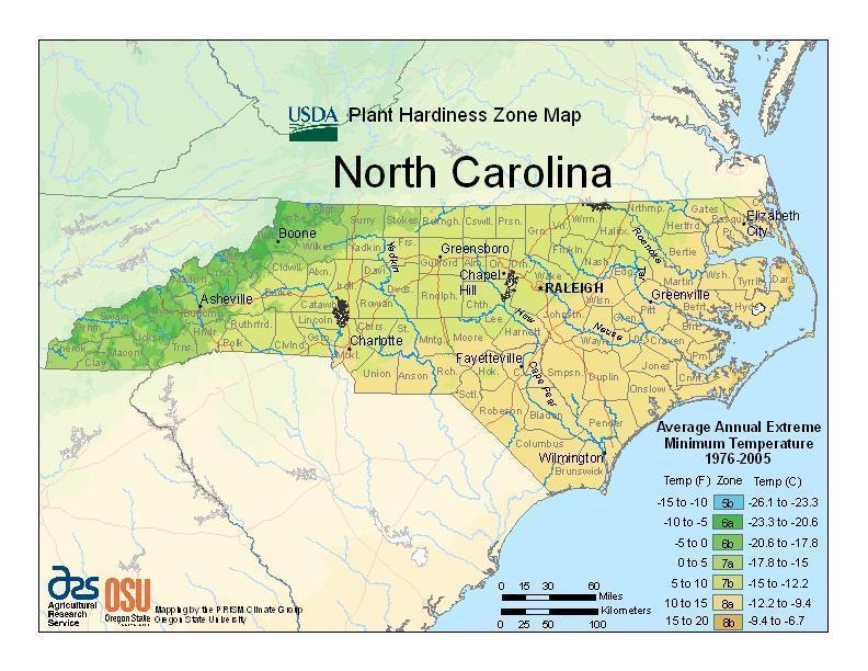 nc zones